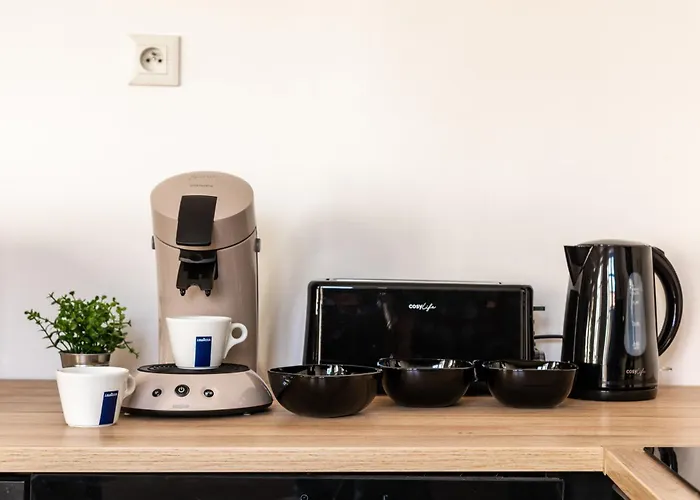 Le Queen - Wifi - Parking Gratuit - Climatisation - - Equipee